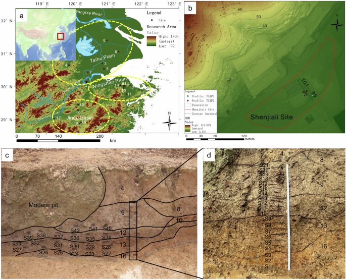 Regional variation in rice domestication pathways in prehistoric lower Yangtze, China, revealed by archaeobotanical evidence