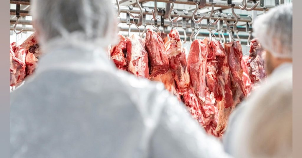 JBS USA’s Greeley Workers Ratify New Contract, Officially Ending Strike