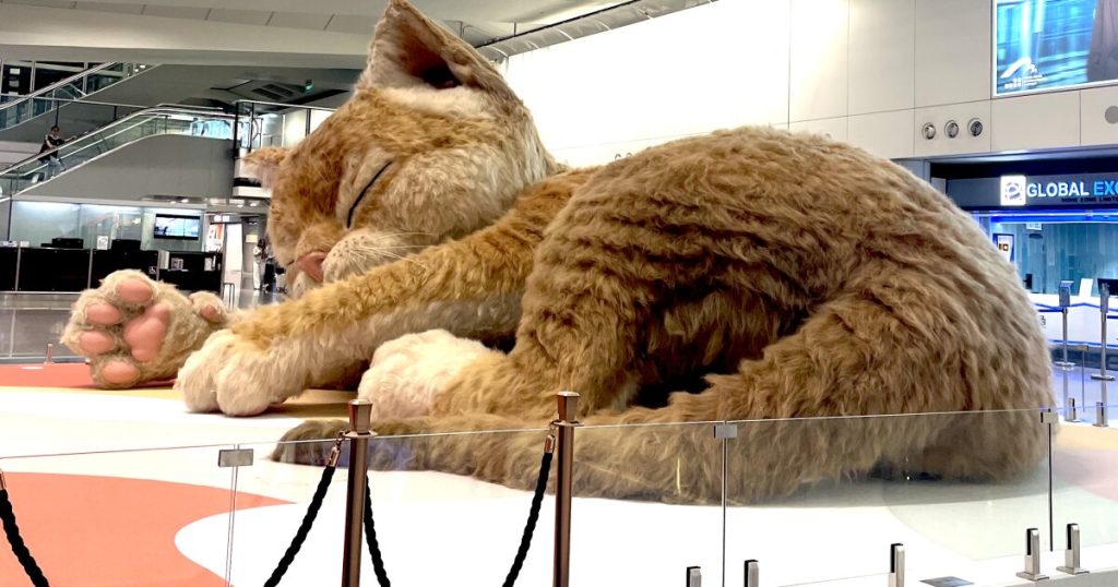 Giant cat installation at Hong Kong airport