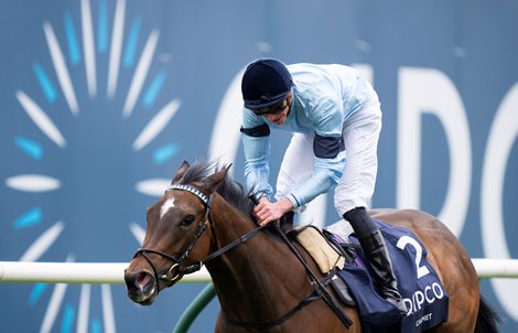 One Thousand Guineas Winner Cachet Dies in Japan