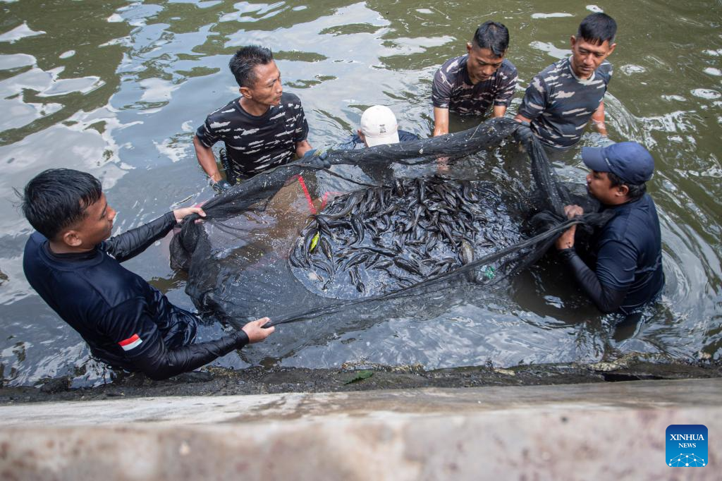 Indonesia’s Jakarta Targets Invasive Suckerfish amid Ecological, Health Concerns