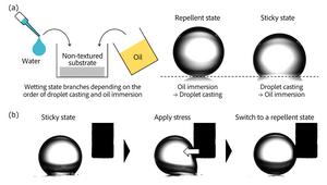 Overturning a 200-year belief: new surface design enabling two distinct wetting states on a single substrate