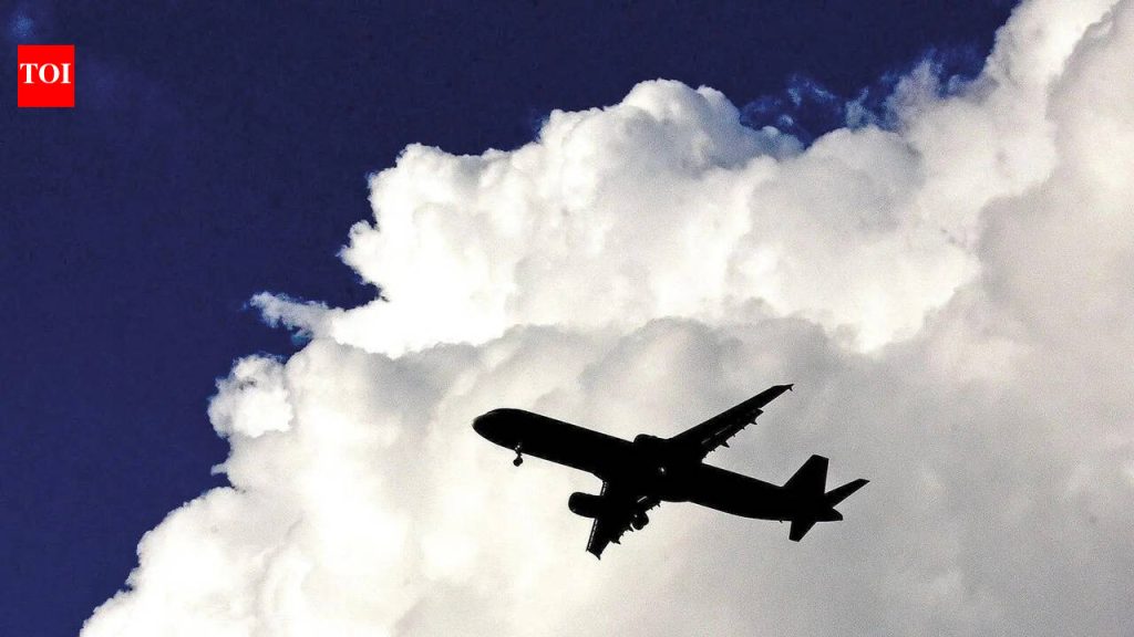 Inflight quarrel delays Kuala Lampur-bound flight for an hour at Chennai airport | Chennai News