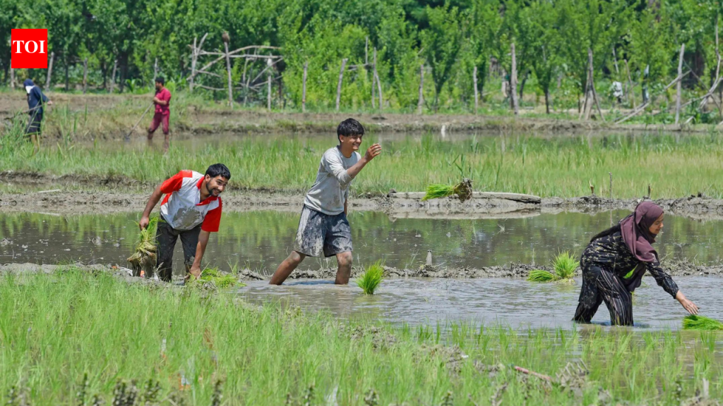 Government braces for a tough sowing season ahead | India News