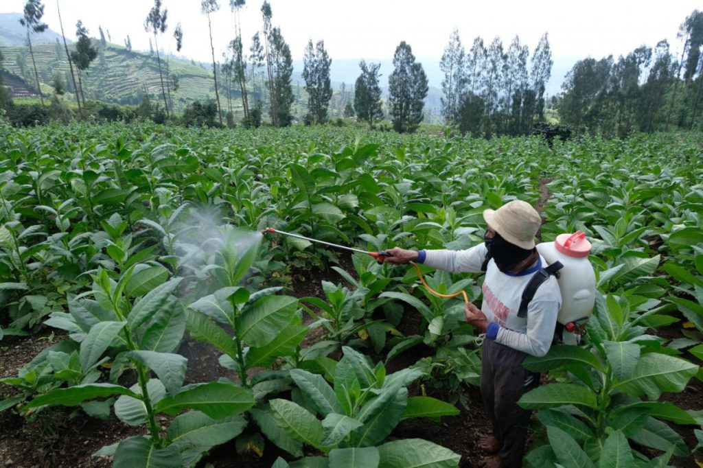 Indonesia pushes into global fertiliser market