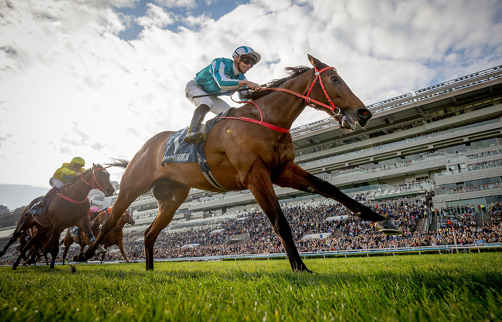 Romantic Warrior aims for immortality: Hong Kong Triple Crown now within reach