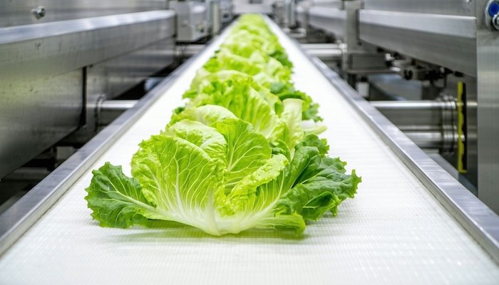 FDA nod for Clariant’s bio-based additives in rigid PVC food-contact applications