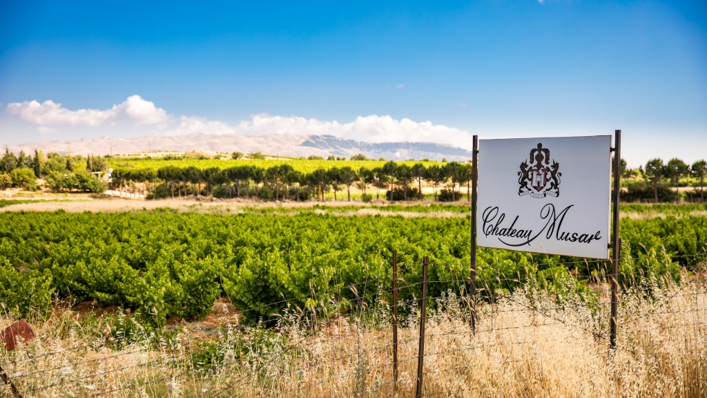 Hong Kong Merchant Omtis Adds Musar For Macau and Hong Kong