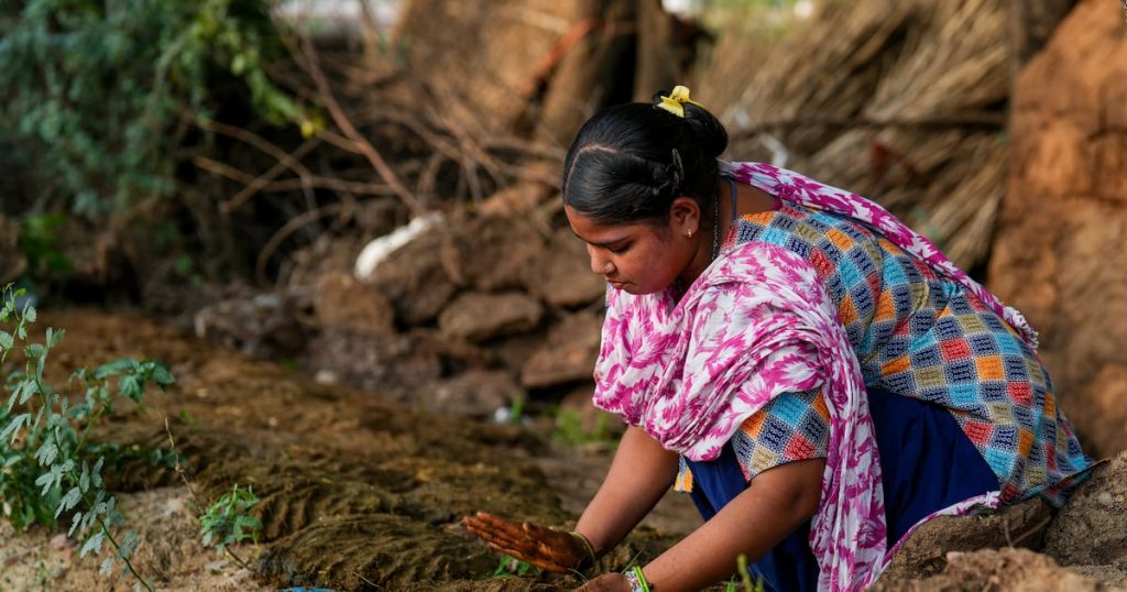 India’s soaring energy prices drive return to traditional a fuel source: cow dung – The Irish Times