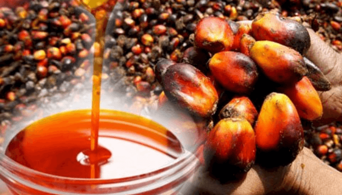 Russia eyes Nigerian palm oil imports amid growing market demand