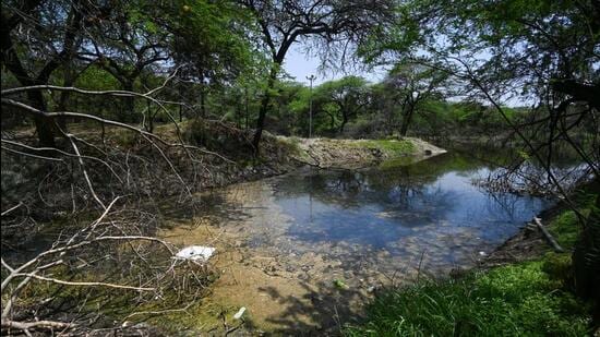 Delhi pollution body directed to analyse Kitchener Lake after petition disputes DDA’s clean claim in NGT
