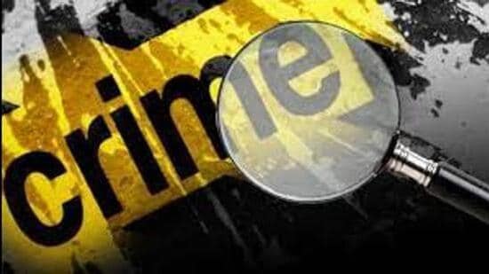 Delhi gangrape victim says she pleaded with suspects to let her go