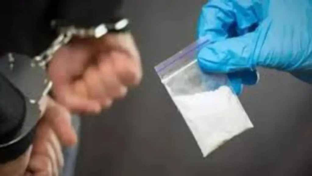 Delhi Customs seize hydroponic marijuana worth Rs 34.9 crore from two Bangkok passengers at IGI Airport