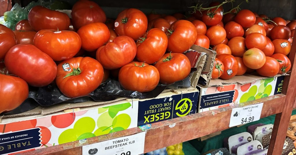 Tomatoes Become Latest Symbol of America’s Affordability Squeeze