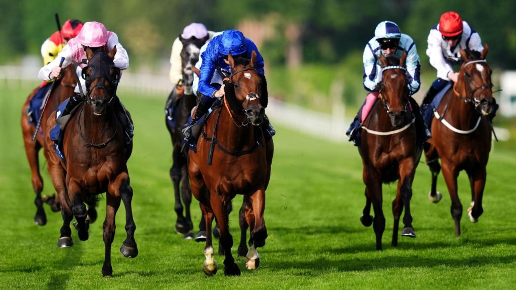 Henry II Stakes report | Dubai Future springs surprise