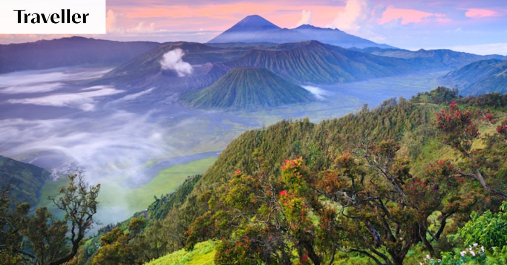 Paspaley Pearl cruise: Exploring the hidden islands of Indonesia with orangutans, dragons and whale sharks