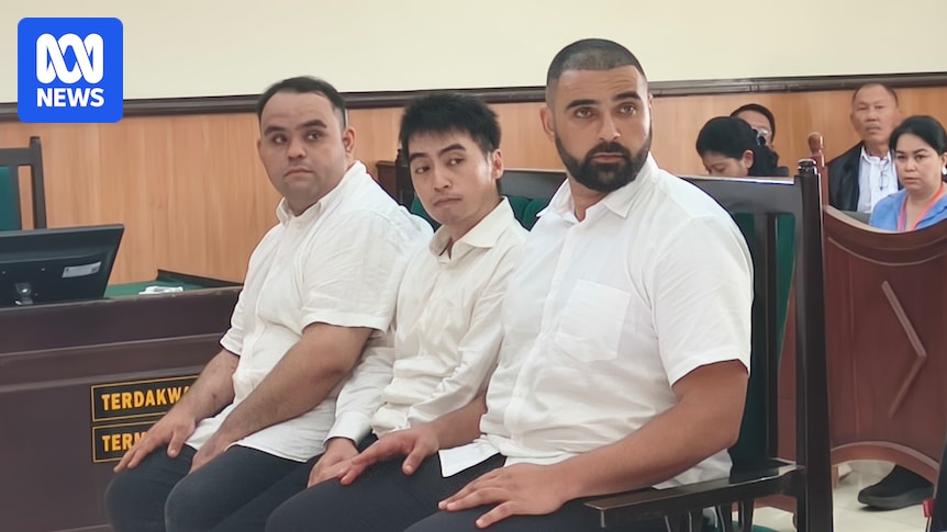 Three Australian men found guilty after taking ‘black flight’ into Indonesia’s South Papua province