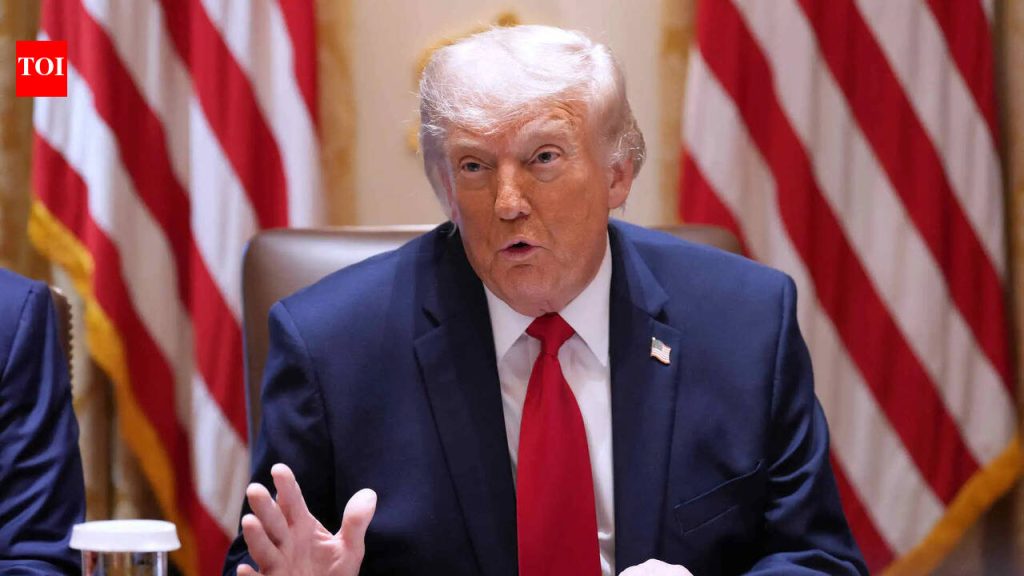 More Trump tariffs? Amid trade deal talks, US names India in its Section 301 findings; proposes additional duties