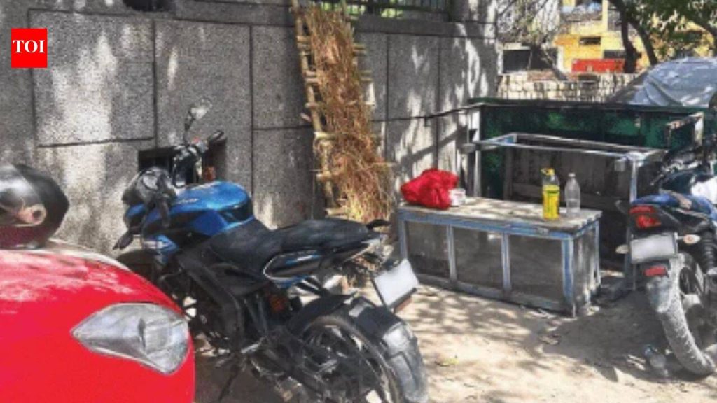 Delhi Murder: Minor stabs woman to death, critically injures husband in front of 5-year-old son in Delhi | Delhi News