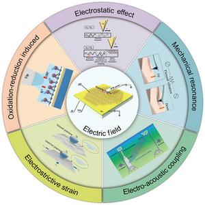 Electric fields tune friction at the nanoscale, paving the way for smart 2D material devices.