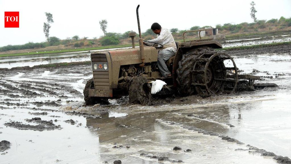 India must aim to become ‘Food for the World’, say industry leaders | Bengaluru News