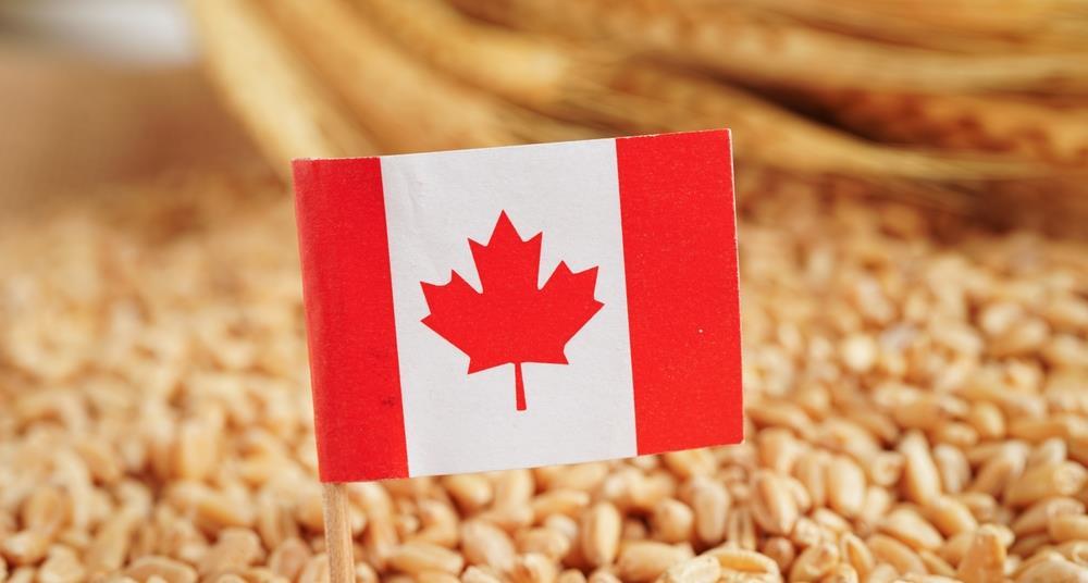 Canada unveils first National Food Security Strategy with £1.6bn investment