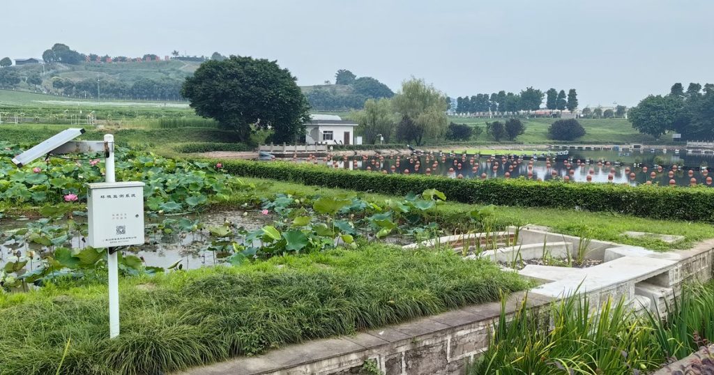 In China, Chongqing’s Agricultural High-Tech Park explores future cooperation with the Netherlands
