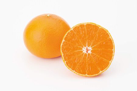 Japanese Premium Citrus Variety May Have Been Leaked to China
