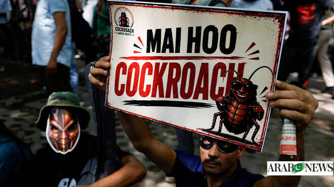 India’s viral Gen-Z ‘cockroach party’ takes online movement to Delhi streets