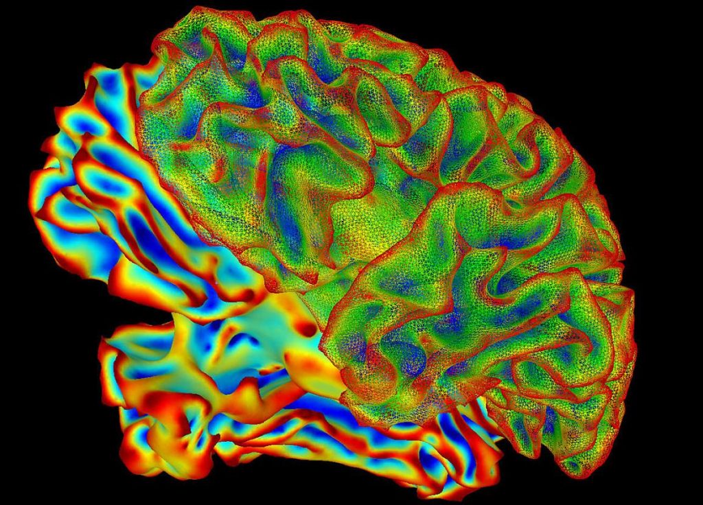 Funding: HMNC and the Long Road to Precision Psychiatry