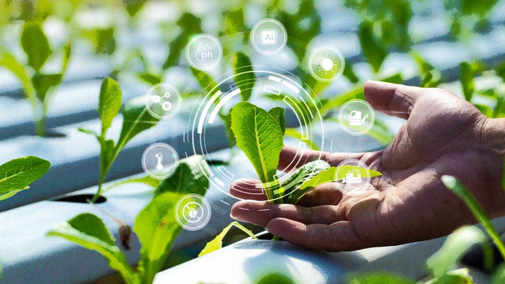 Dubai Chambers explores stronger food and agribusiness ties with Ontario – Fast Company Middle East