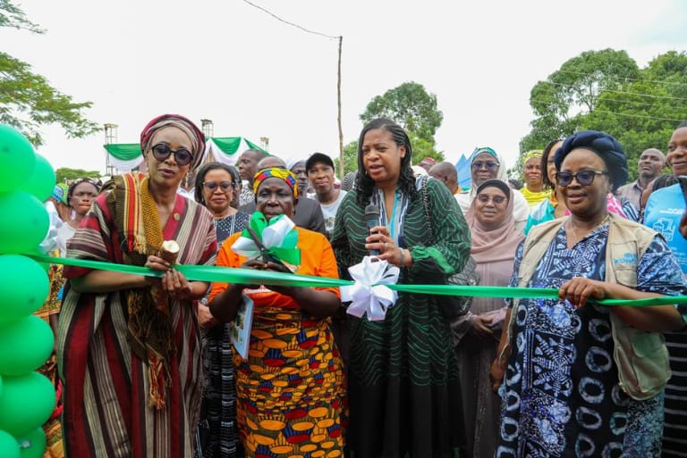 UN Women, TY Danjuma Foundation Launch Agro-Processing Centre In Kwali – Independent Newspaper Nigeria