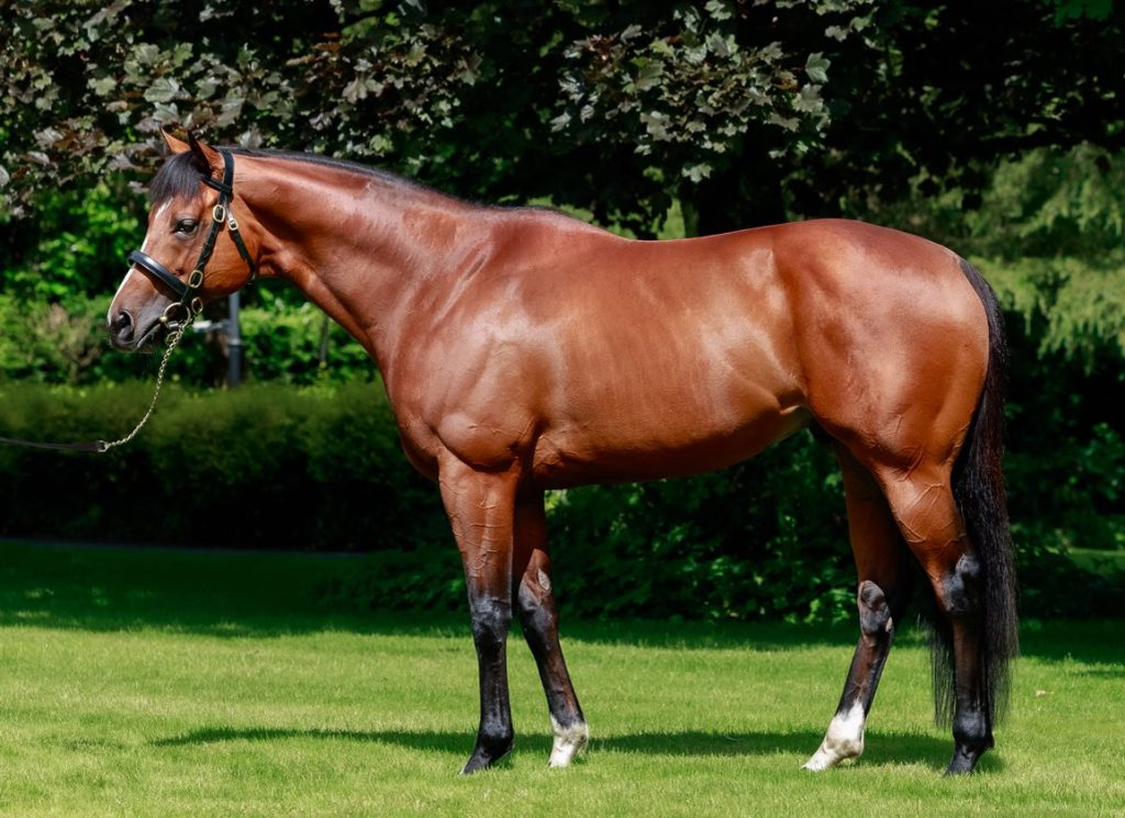 Dubai Honour’s Half-Sister Manaar Debuts At Newbury