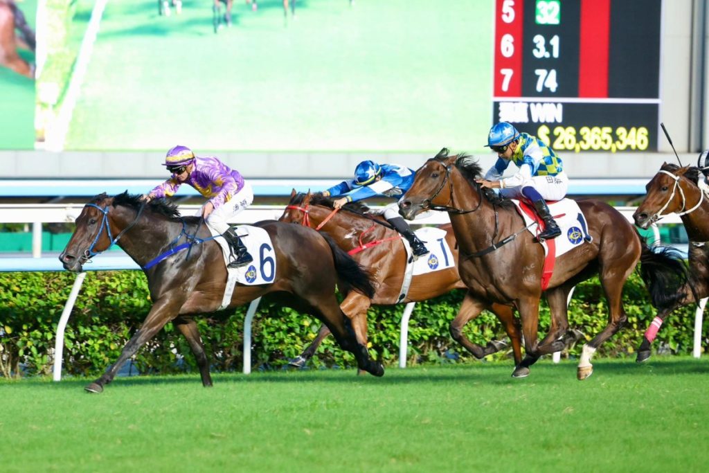 Little Paradise Back On Track As Jimmy Ting Eyes Hong Kong Mile After Premier Cup Win