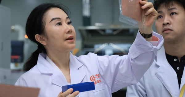 CHINA-GUANGDONG-“FACTORY GIRL” TO MICRO-DRILL CHAMPION (CN)