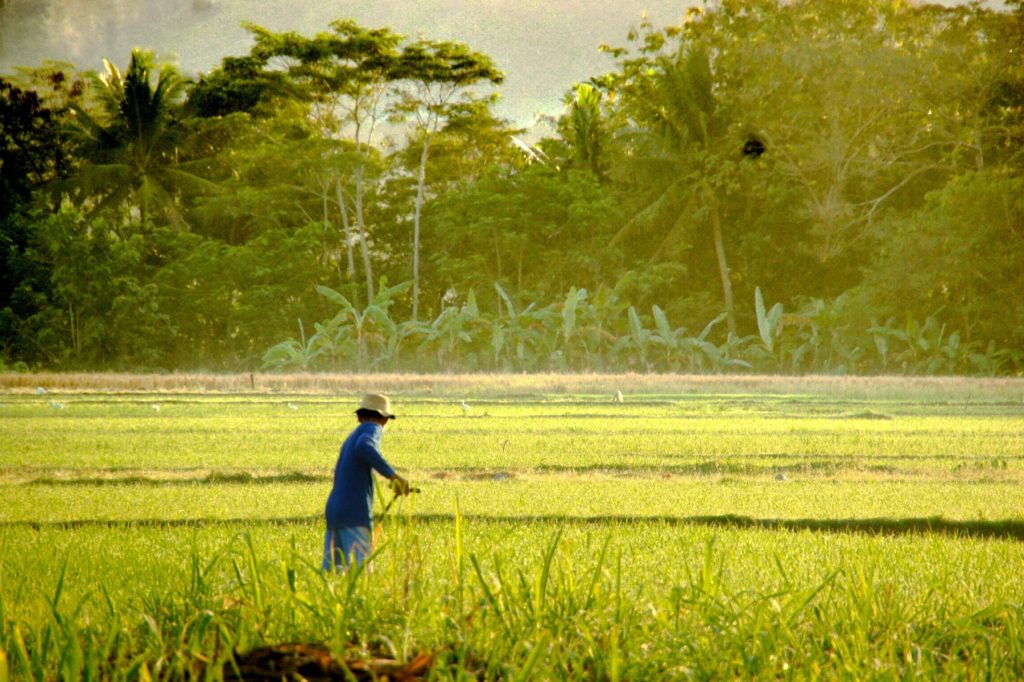 Indonesia’s AgriAku secures new capital amid business realignment