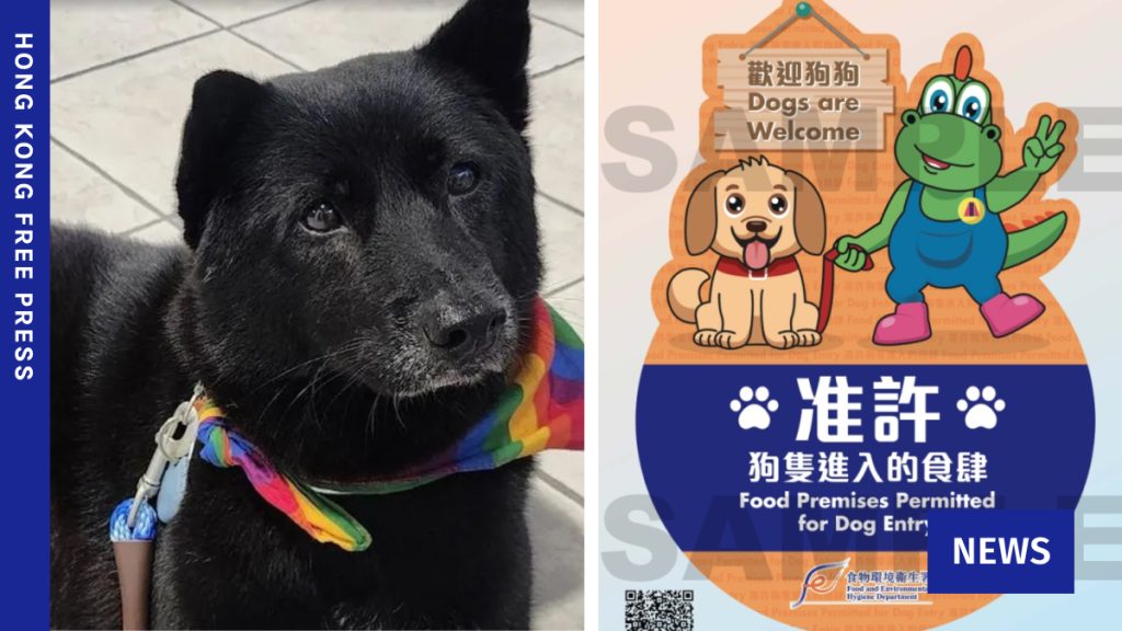 1,000 HK restaurants get permits to allow dogs starting July 9