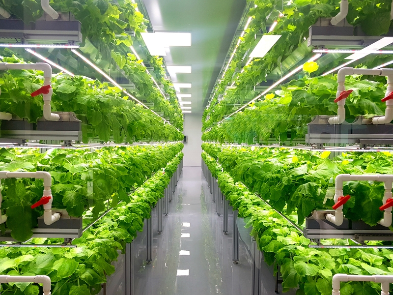 Dubai vertical farm will act as “blueprint for the future of food production”