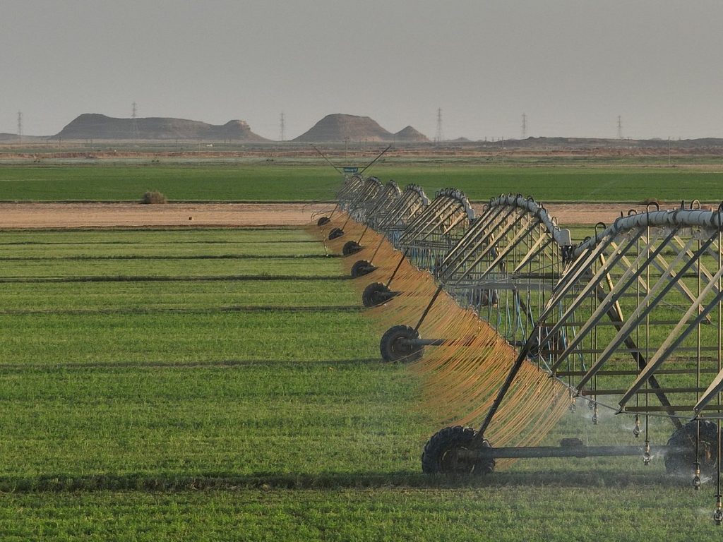 How Al Dahra Kept UAE Food Supplies Flowing Amid Global Shipping Disruption