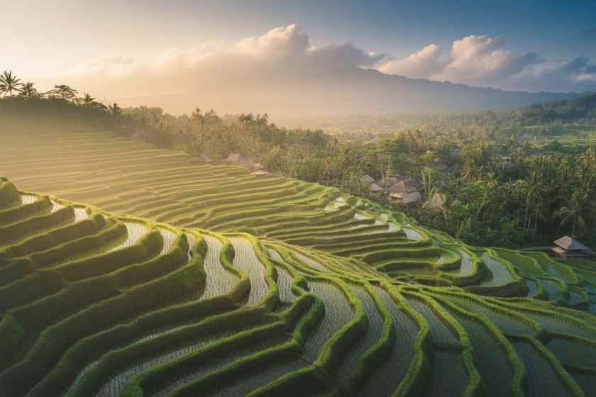 How Indonesia’s New Free Tourist Insurance is Reconfiguring Bali Safety Standards