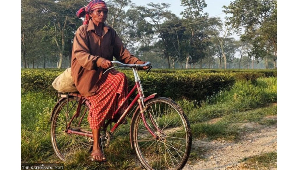 Nepal tea industry shutdown puts 60,000 workers at risk after India tightens export rules – Asia News Network