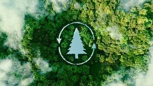 India restores 21.76 million hectares of degraded land ahead of 2030 environmental target