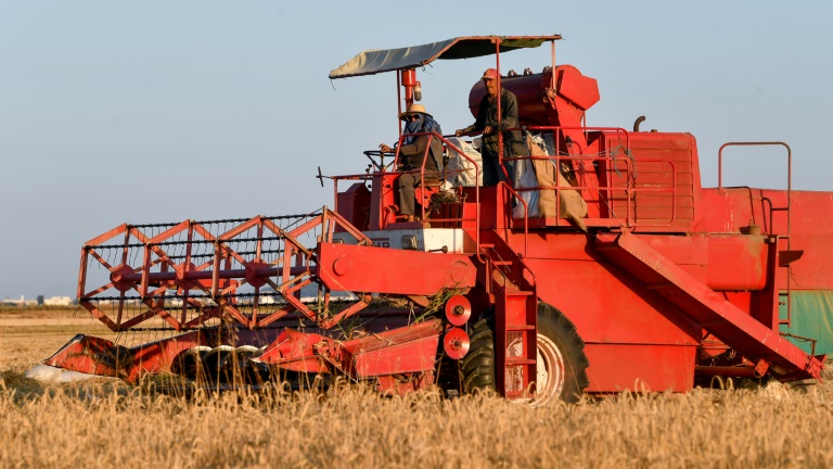 Canada and genetically modified crops: Innovation, adoption, and the public divide