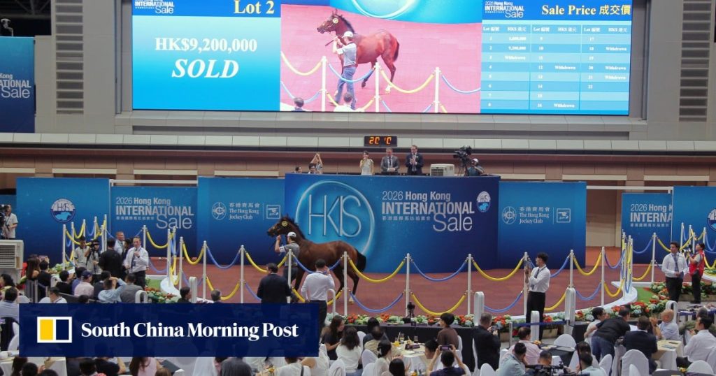 Deep Field youngster fetches HK$9.2 million to top 2026 Hong Kong International Sale | HK Racing