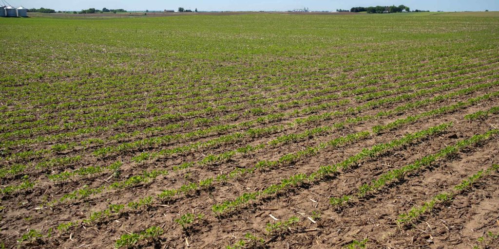 Mitsubishi aims to make green aviation fuel with Archer Daniels Midland