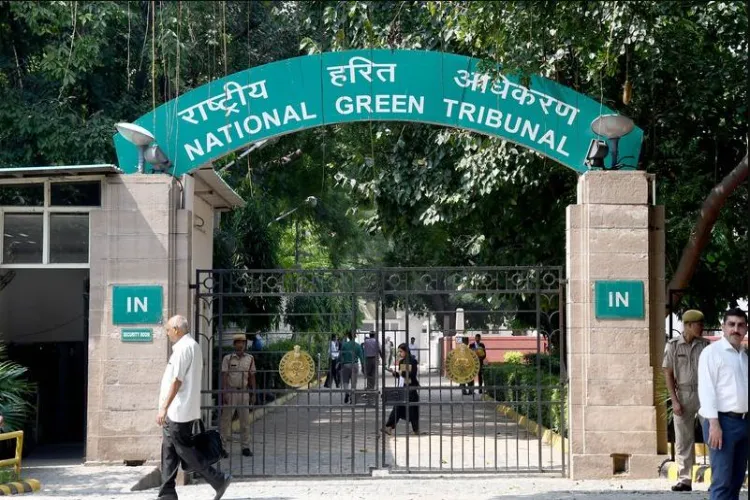 NGT orders bio-fencing for Delhi pond, acts on encroachments