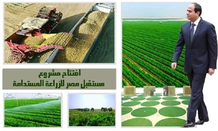 Empowering Future of Egypt to tackle food security, lower living costs