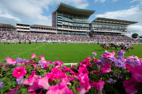 Dubai Racing Club, York Deal Creates Path to Meydan