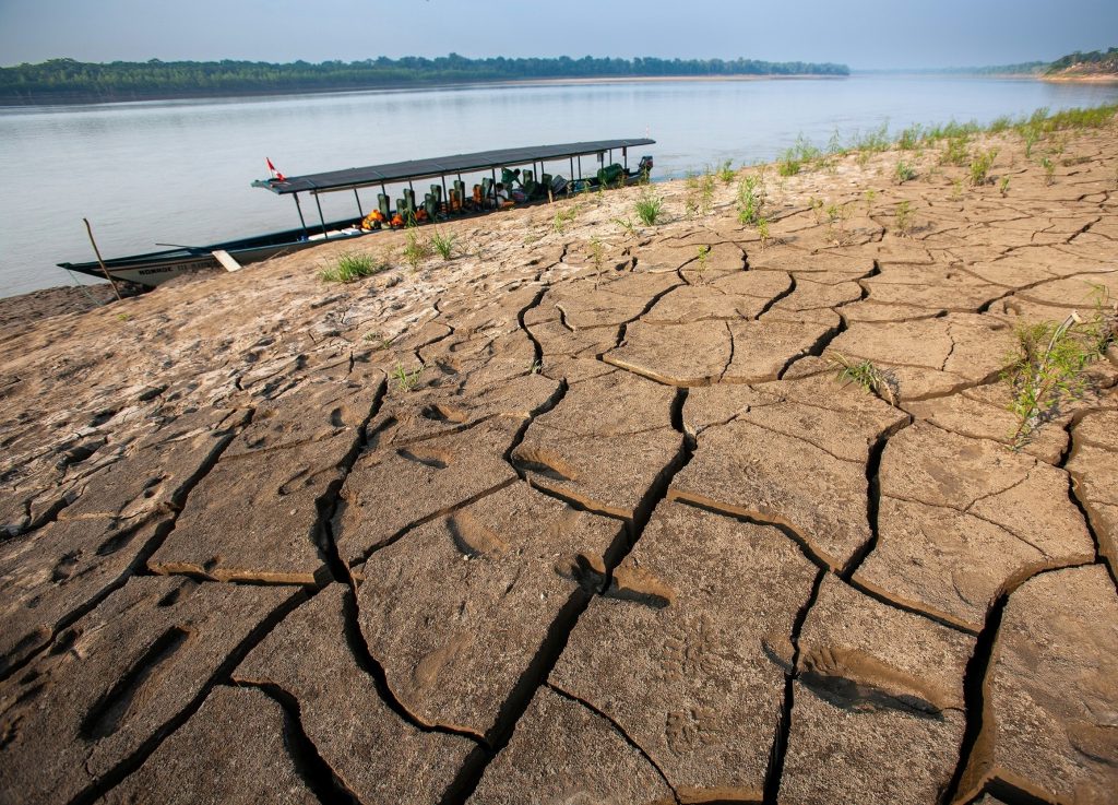 Amazon drought is changing the chemistry of Earth’s atmosphere