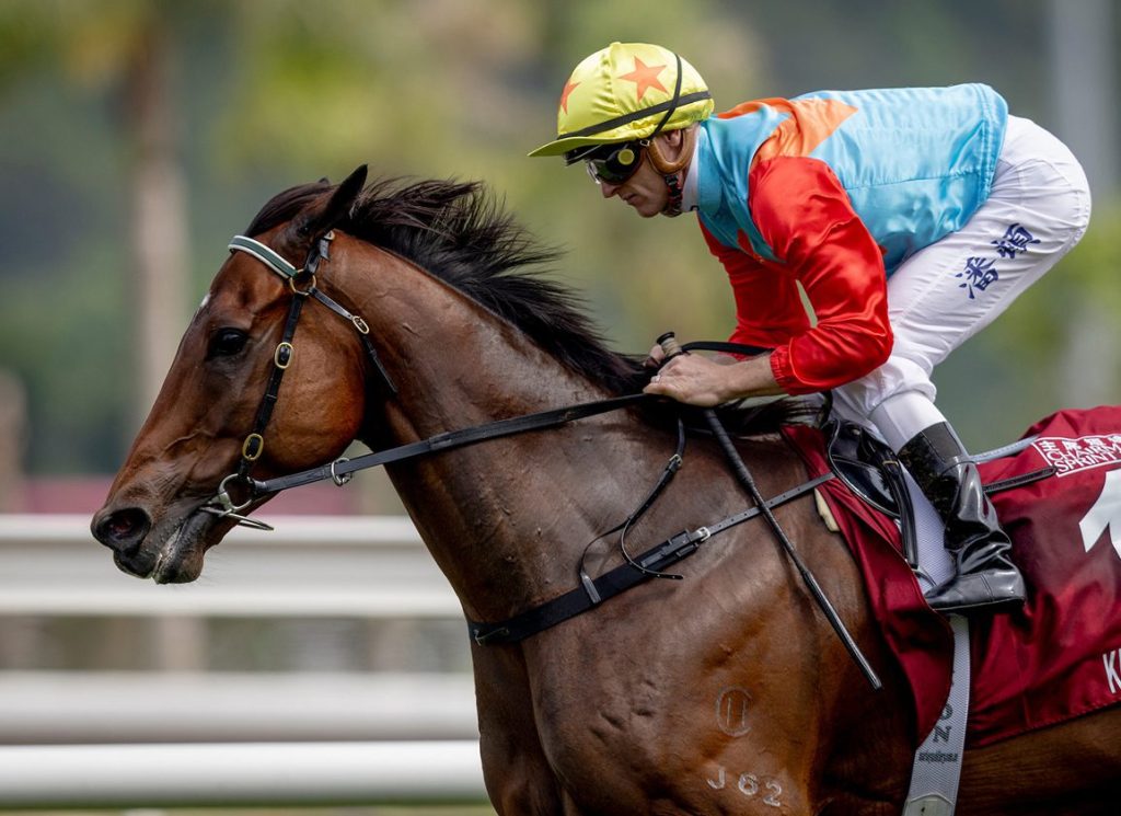 Ka Ying Rising Adn Romantic Warrior Share Honours In Hong Kong